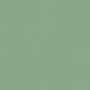 Meet your Posher, Lucy